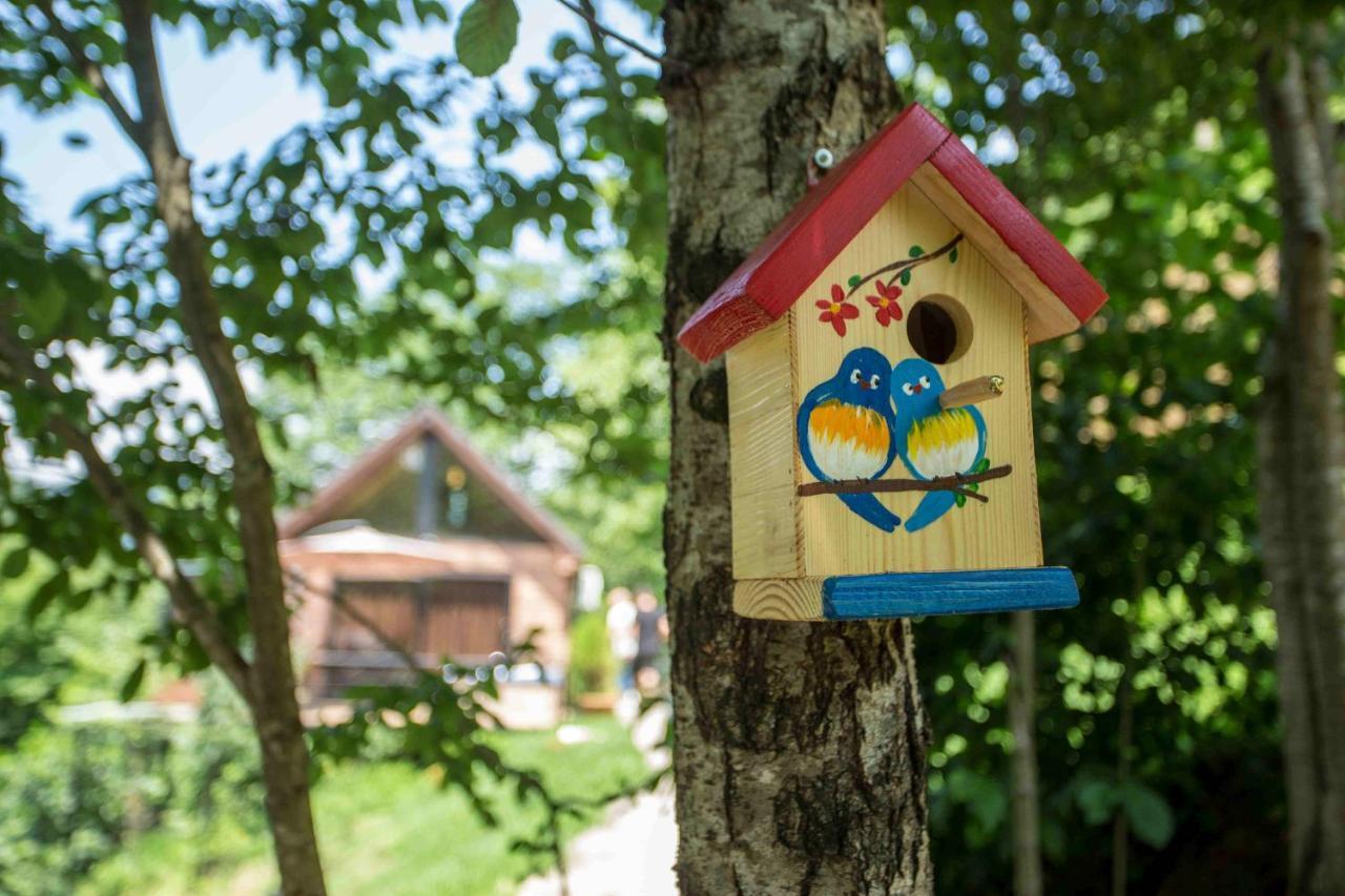 Vila Woodpecker Ვუდფექერი Batumi Exteriér fotografie
