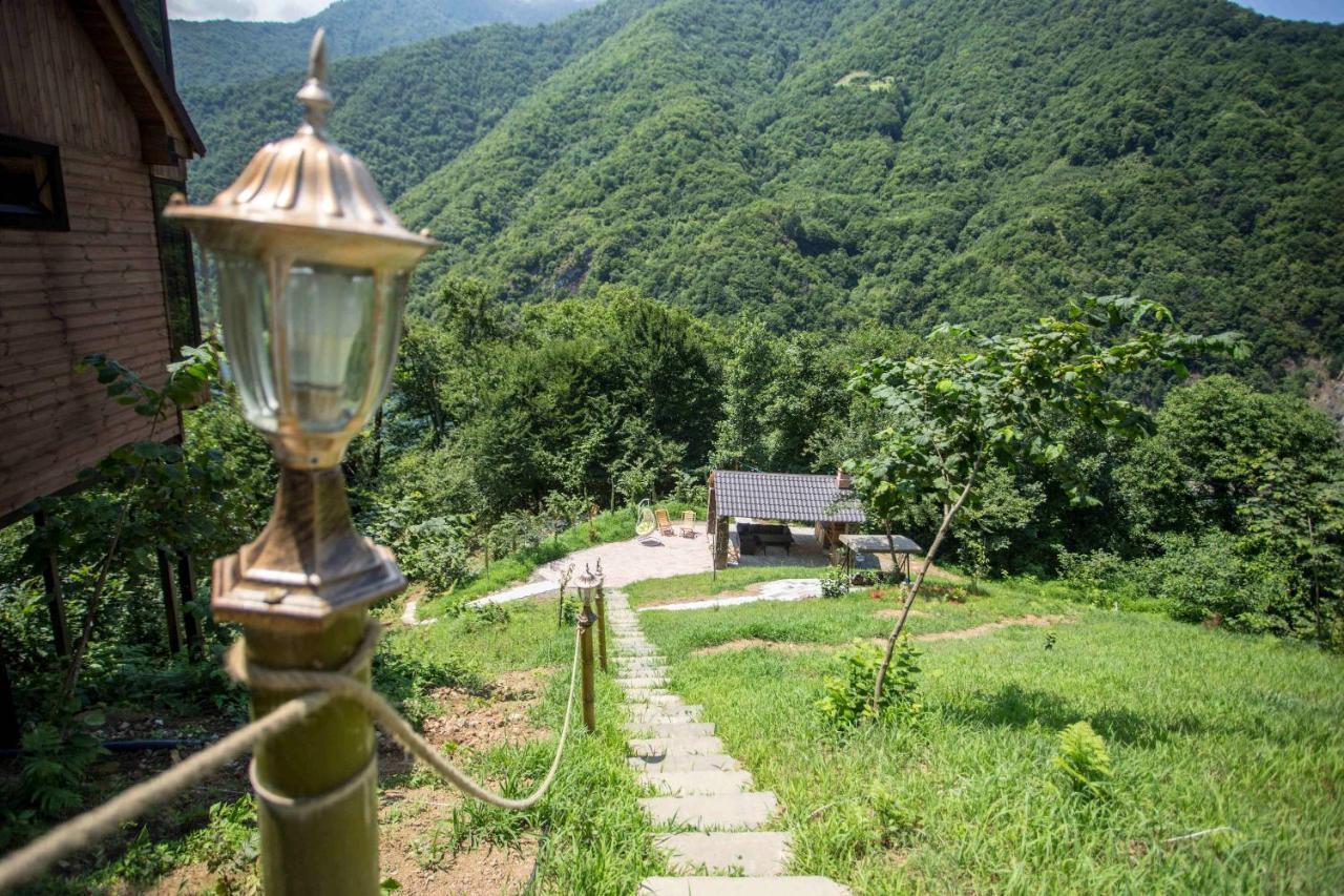 Vila Woodpecker Ვუდფექერი Batumi Exteriér fotografie
