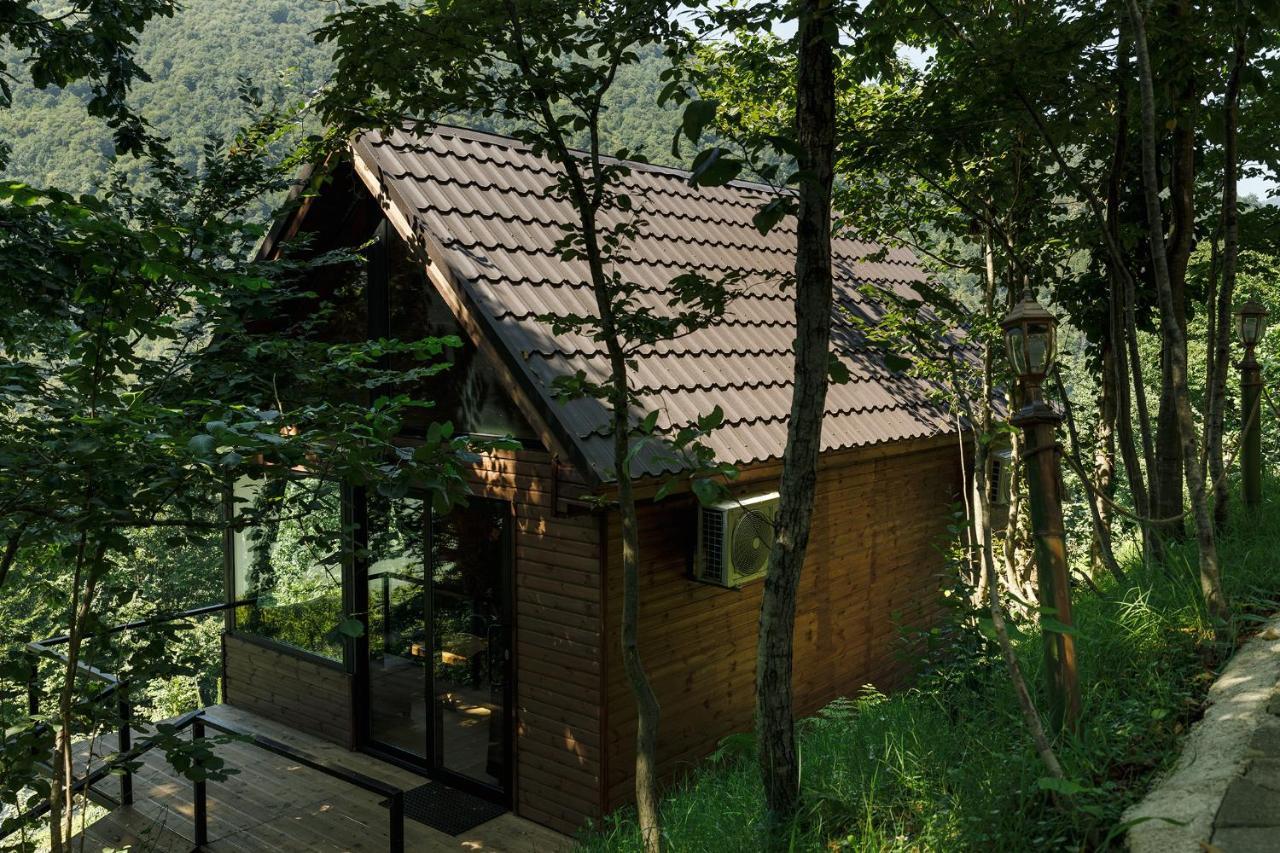 Vila Woodpecker Ვუდფექერი Batumi Exteriér fotografie