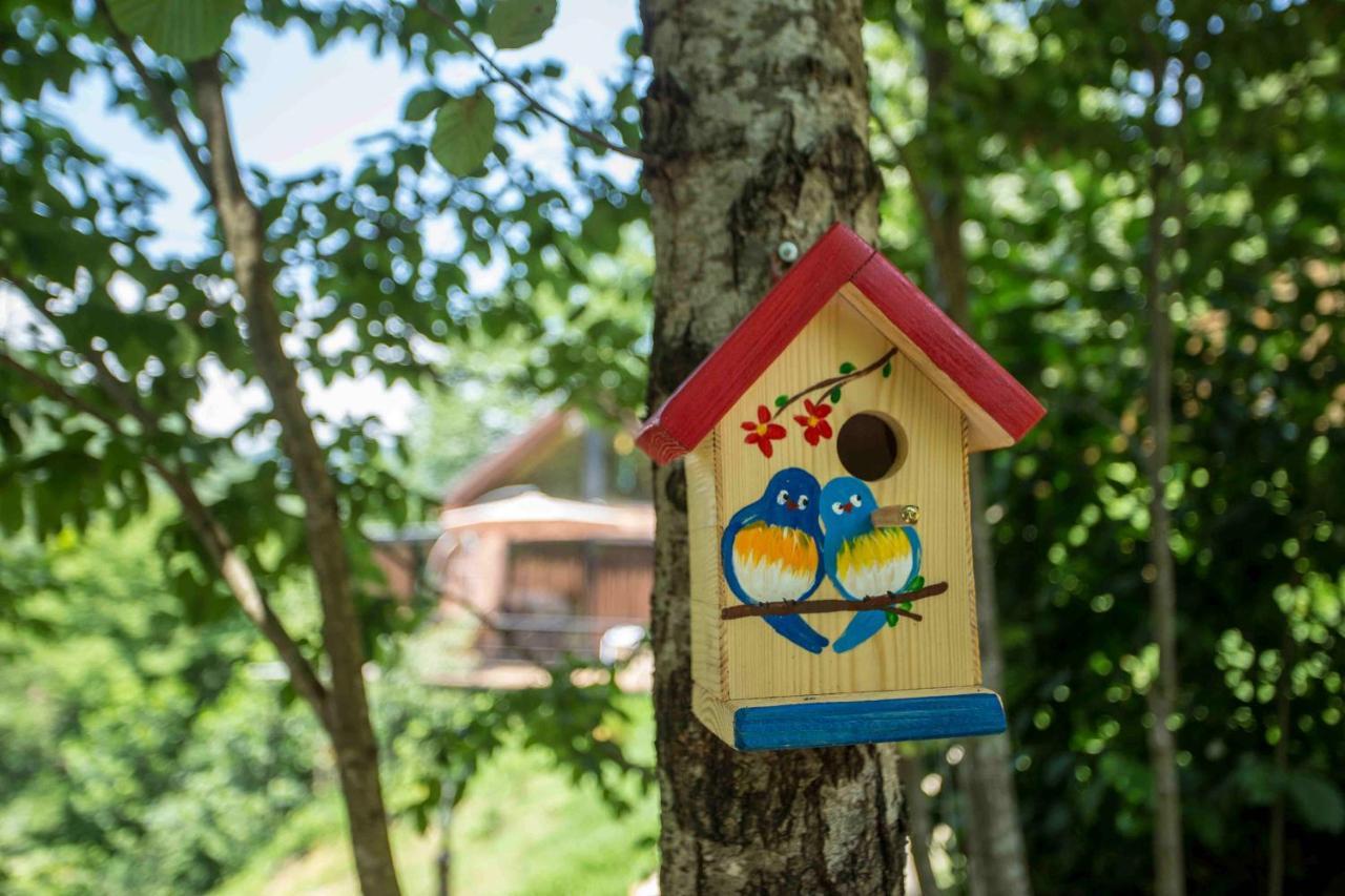 Vila Woodpecker Ვუდფექერი Batumi Exteriér fotografie